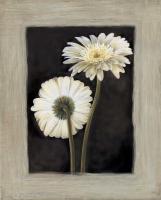 Flora II #AT1169 Flora II #AT1169