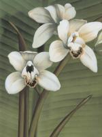 Orchid with Palm I #AT4760 Orchid with Palm I #AT4760
