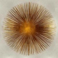 Bronze Sunburst I #AY112546 Bronze Sunburst I #AY112546