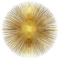 Sunburst I #AY112548 Sunburst I #AY112548