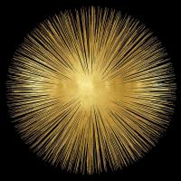 Sunburst on Black I #AY112550 Sunburst on Black I #AY112550