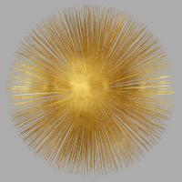 Sunburst on Grey I #AY112552 Sunburst on Grey I #AY112552