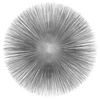 Silver Sunburst I #AY112556 Silver Sunburst I #AY112556