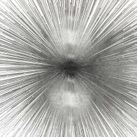Radiant Silver #AY112564 Radiant Silver #AY112564