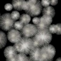 Silver Sunbursts #AY112676 Silver Sunbursts #AY112676