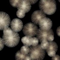 Pewter Sunbursts #AY112677 Pewter Sunbursts #AY112677