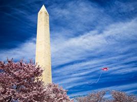 Washington Monument with Kite and Cherry Blossoms #82493 Washington Monument with Kite and Cherry Blossoms #82493
