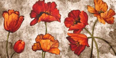 Poppy Paradise #BF6893 Poppy Paradise #BF6893