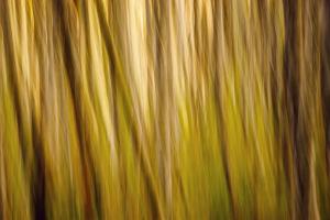 Colors of Fall #89702 Colors of Fall #89702