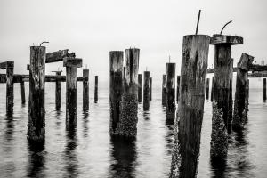 Pilings, Ruston Way Tacoma #98188 Pilings, Ruston Way Tacoma #98188