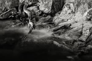 Rocky Coastline, Larrabee State Park #98191 Rocky Coastline, Larrabee State Park #98191