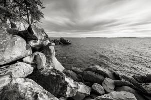 Rocky Coastline, Samish Bay #98192 Rocky Coastline, Samish Bay #98192