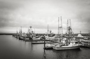 Westport Harbor No 1 #98195 Westport Harbor No 1 #98195