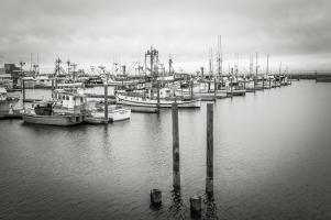Westport Harbor No 3 #98197 Westport Harbor No 3 #98197