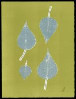 Untitled #91996 Untitled #91996