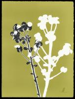 Untitled #91999 Untitled #91999