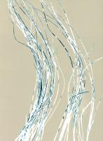 Sea Grass 1 #86277 Sea Grass 1 #86277