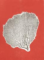 Sea Fan 9 #86282 Sea Fan 9 #86282
