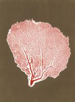 Sea Fan 10 #86283 Sea Fan 10 #86283