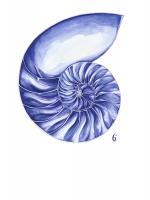 Sea Life in Pen 6 #91144 Sea Life in Pen 6 #91144