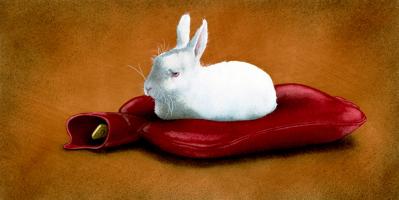 Bun Warmer #72048