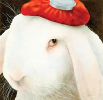 Even My Hare Hurts #72060 Even My Hare Hurts #72060