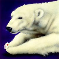 Polar Pair #72094 Polar Pair #72094