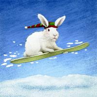 Snow Bunny #72109 Snow Bunny #72109