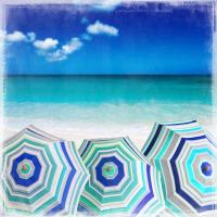 Beach Gathering #CC111757 Beach Gathering #CC111757