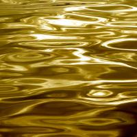 Liquid Gold #CC112095 Liquid Gold #CC112095