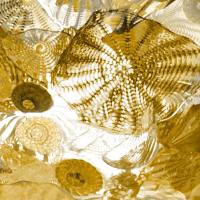 Underwater Perspective in Gold #CC112098 Underwater Perspective in Gold #CC112098