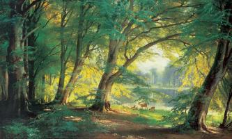 Deer in a Forest #CFA3058 Deer in a Forest #CFA3058