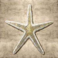 Golden Sea Life I #CKL111634 Golden Sea Life I #CKL111634