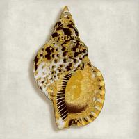 Golden Ocean Gems on Ivory III #CKL112804 Golden Ocean Gems on Ivory III #CKL112804