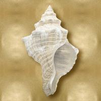 Ocean Gem on Gold I #CKL114065 Ocean Gem on Gold I #CKL114065