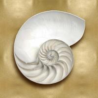 Ocean Gem on Gold II #CKL114066 Ocean Gem on Gold II #CKL114066