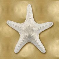 Ocean Gem on Gold VI #CKL114070 Ocean Gem on Gold VI #CKL114070