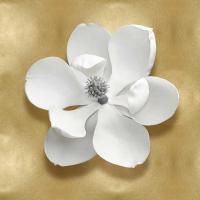 Pure I #CKL114071 Pure I #CKL114071