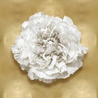 Pure II #CKL114072 Pure II #CKL114072