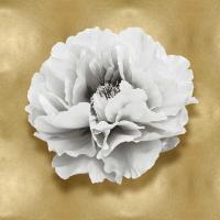 Pure III #CKL114073 Pure III #CKL114073