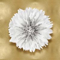 Pure IV #CKL114074 Pure IV #CKL114074