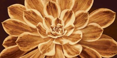 Sedona #CKL5885 Sedona #CKL5885