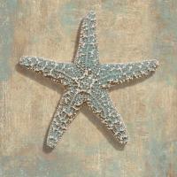 Aqua Starfish #CKL6937 Aqua Starfish #CKL6937