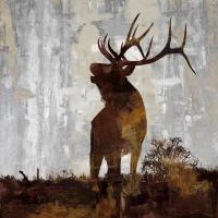 Elk #CRB112136 Elk #CRB112136