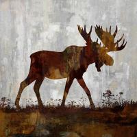 Moose #CRB112137 Moose #CRB112137