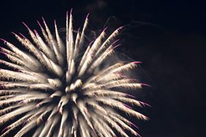 Sky Bloom #CRO-1706 Sky Bloom #CRO-1706
