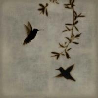 Dance in Flight I #CSD112076 Dance in Flight I #CSD112076