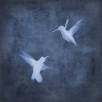 Flight in Blue I #CSD112078 Flight in Blue I #CSD112078