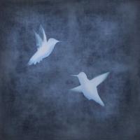 Flight in Blue II #CSD112079 Flight in Blue II #CSD112079