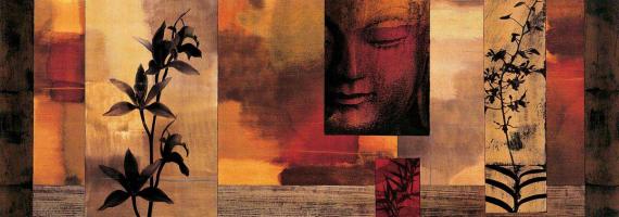 Dharma II #CSD5002 Dharma II #CSD5002